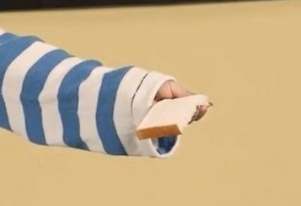 취미에 투표하세요 🐿️ thumbnail