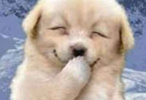 ☺我是JIMIN😊 thumbnail