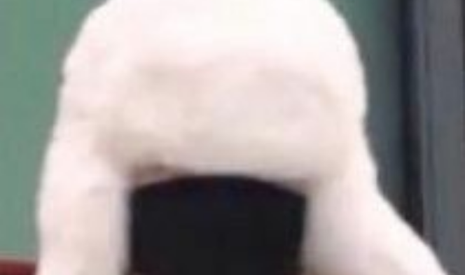 Por favor espere, ¡nos estamos preparando! thumbnail