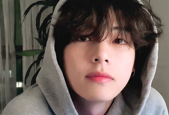 정국, 나무, 태형에게 투표하세요 thumbnail
