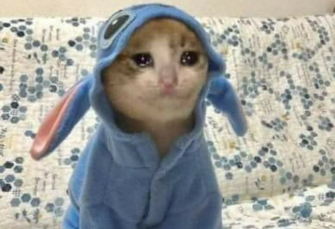 진에게 투표하세요 thumbnail