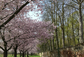 LẠI MỘT LẦN NỮA: Lại một lần nữa thumbnail