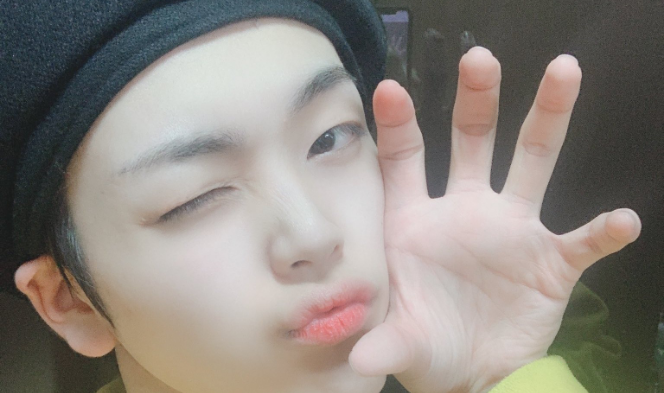 형준 초코푸들 thumbnail