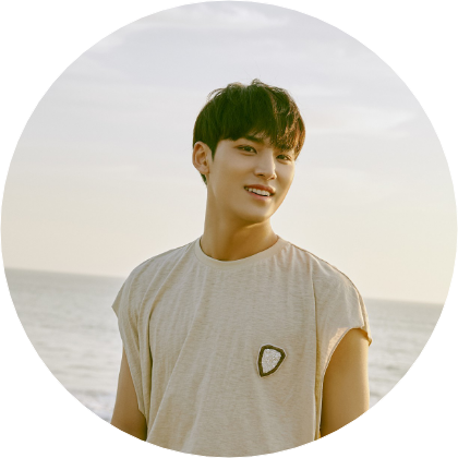 Mingyu image
