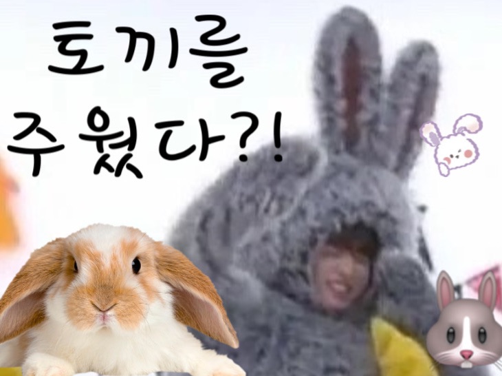 I picked up a rabbit thumbnail