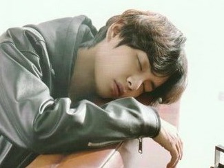 Winter Bear  V thumbnail