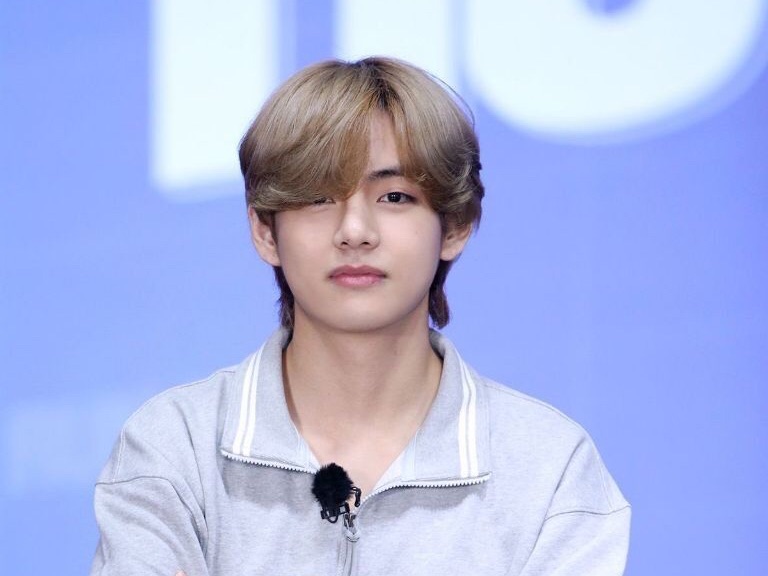 Sweet Bear V thumbnail