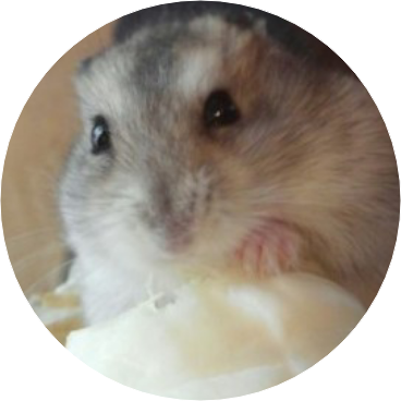 햄스터(여주 image