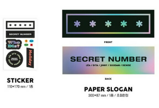 VOTE FOR JINNY SN 시크릿넘버 thumbnail