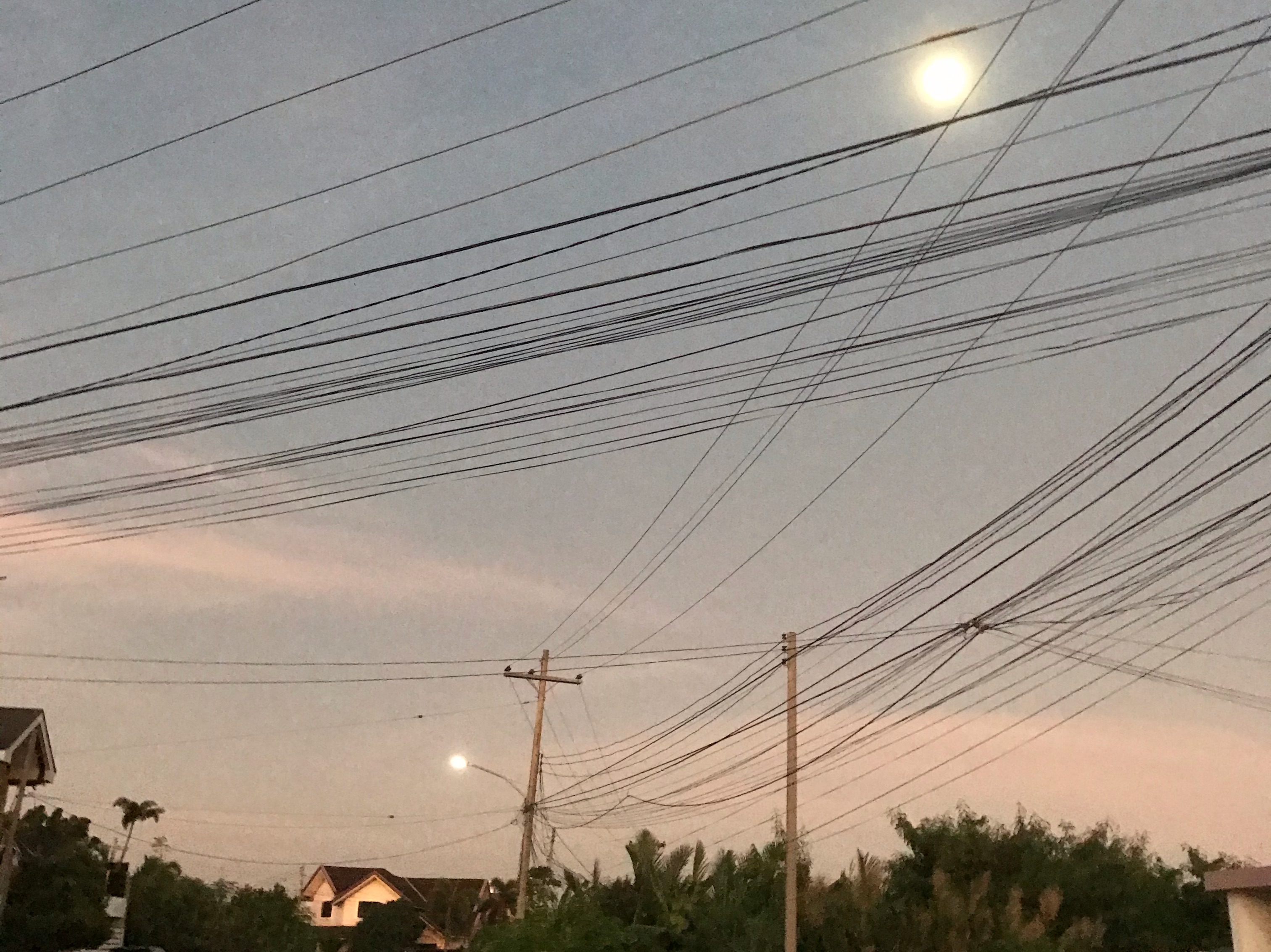 센티넬버스 thumbnail