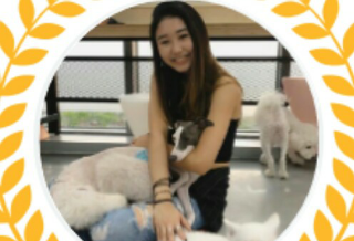SECRET NUMBER - Denise thumbnail