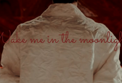 Wake me in the moonlight thumbnail