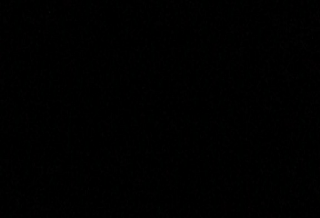 투표 비밀 번호 thumbnail