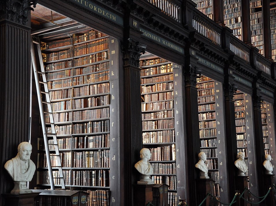 죽어도 전생의 기억을 안 잃어버려  thumbnail