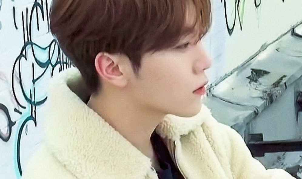 Panda merah, makhluk setengah manusia setengah hewan. thumbnail