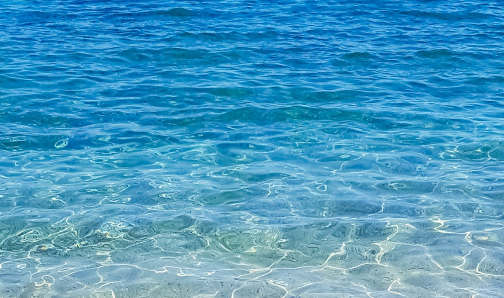 ＜初めての出会い＞ thumbnail