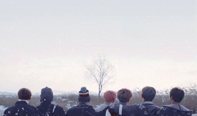 投票 - 投票 thumbnail