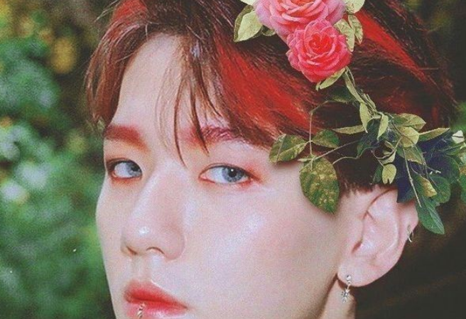 Uri BaekHee Kembali thumbnail