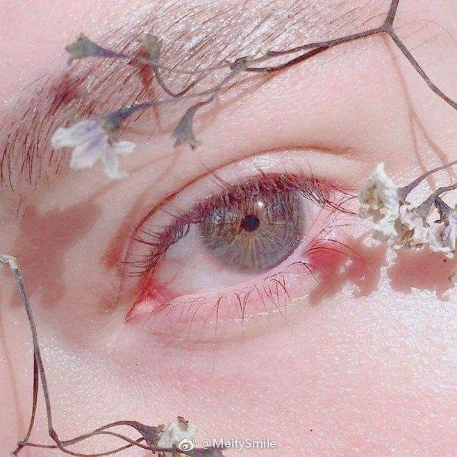 어떤미래쳐돌이 image