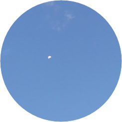 관종은지 작까 image