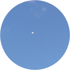 관종은지 작까 image