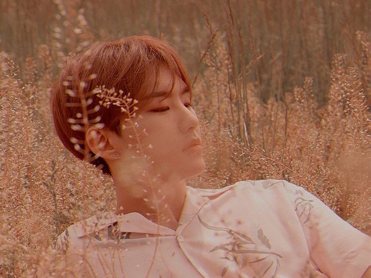 권순영 | 17 image