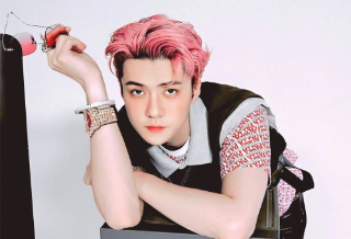 为世勋投票 thumbnail