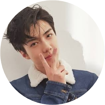 SEHUN image