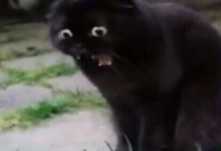 red velvet crack fic thumbnail