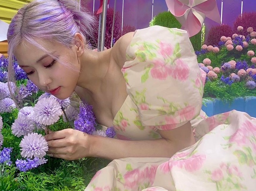 CHANTEUSE PRINCIPALE ROSÉ thumbnail