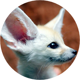 소녀의 달 작가 image