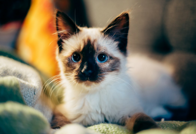 What are you going to do later? thumbnail