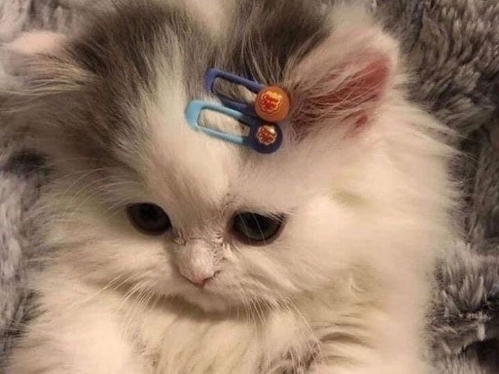 注意？注意！ thumbnail