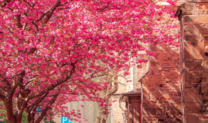 Delapan belas thumbnail