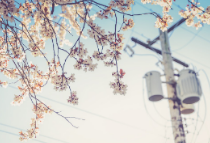 Etiket kencan yang penting thumbnail