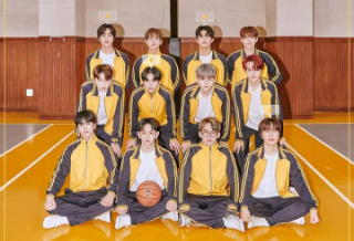 보물 투표 thumbnail