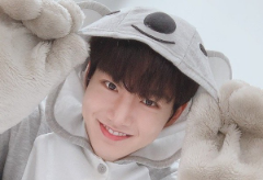 잘생긴 코알라 thumbnail