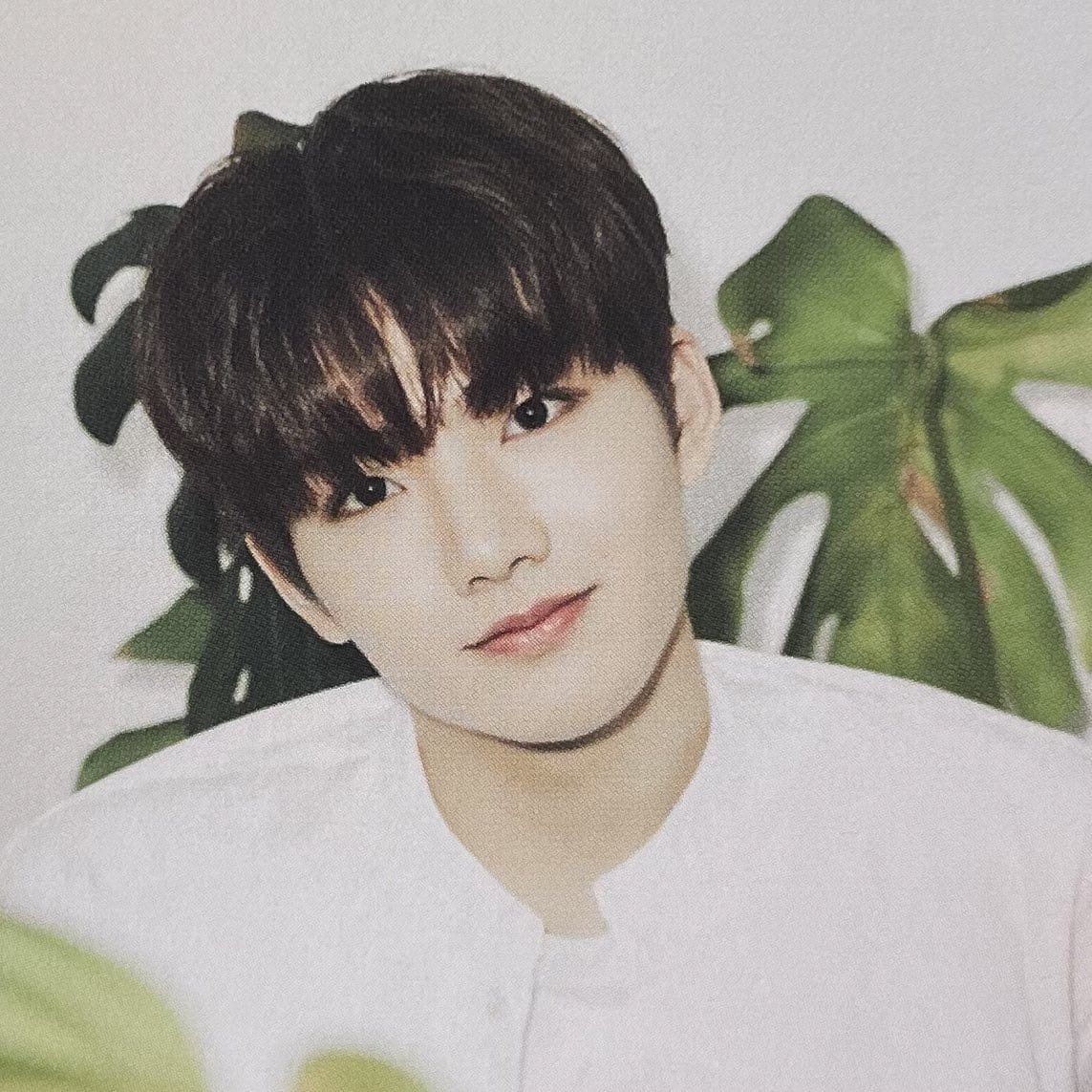 JUNKYU image