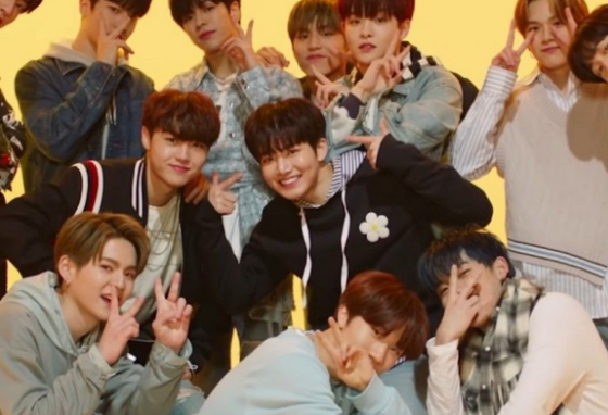 보물 멤버 thumbnail