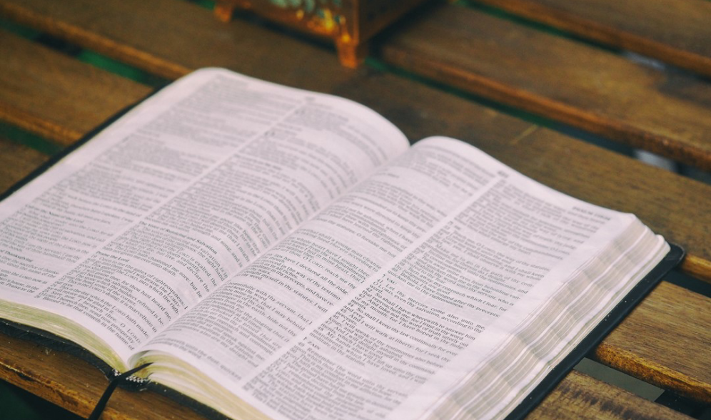 ダウン作家発表室📢 thumbnail