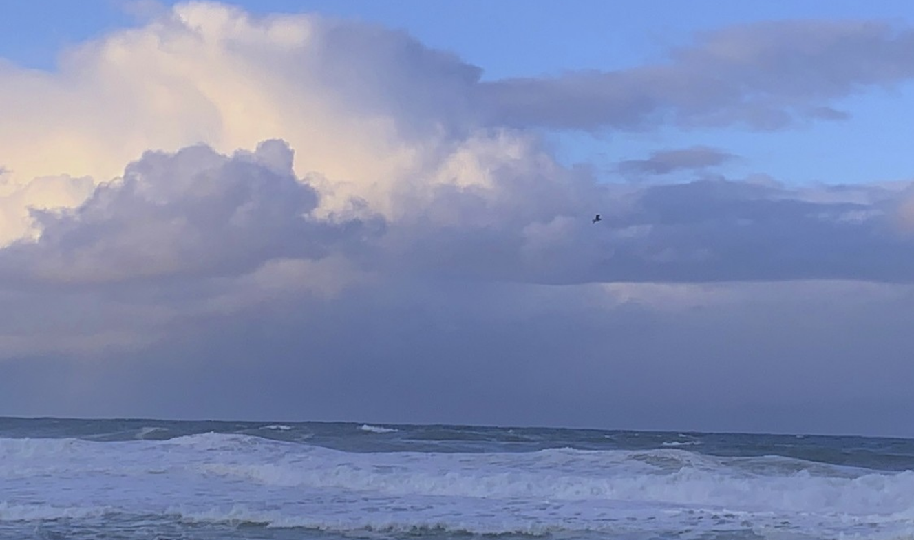 thông báo thumbnail