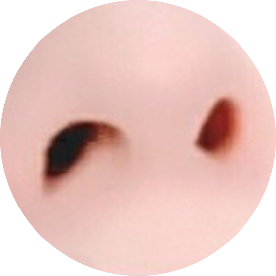 작가ㅅㄲ image