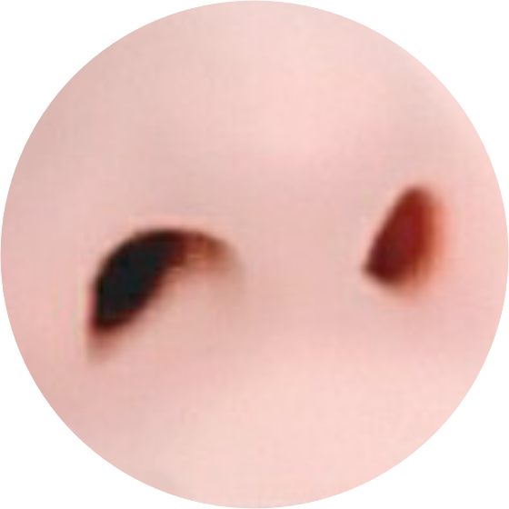 작가ㅅㄲ image