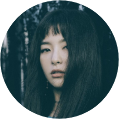 Seulgi image