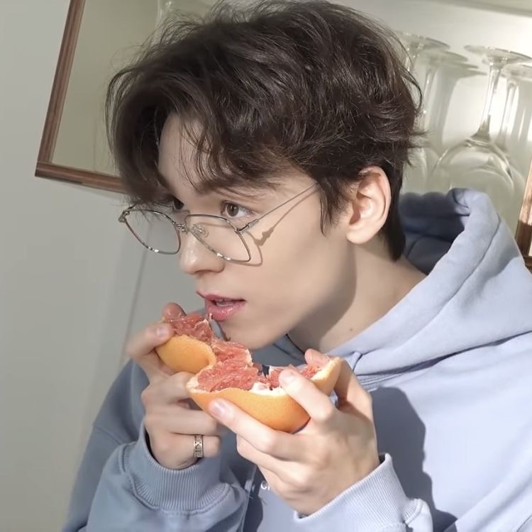 버논 image