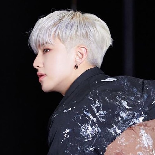 호시 트리엔 image