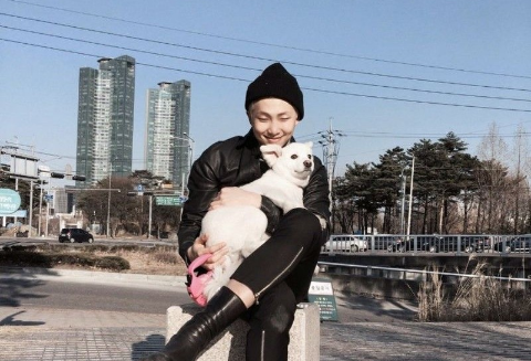 Pahlawan wanita pemula x Namjoon yang berlebihan thumbnail