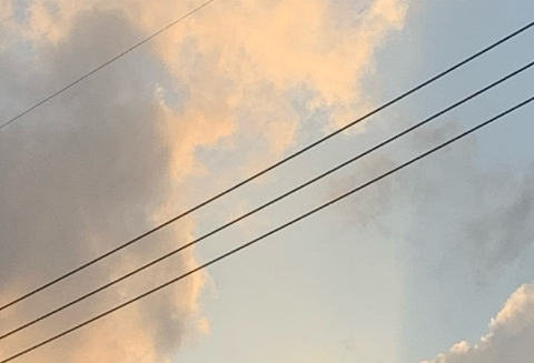 请只回答一个问题ㅠㅠ thumbnail