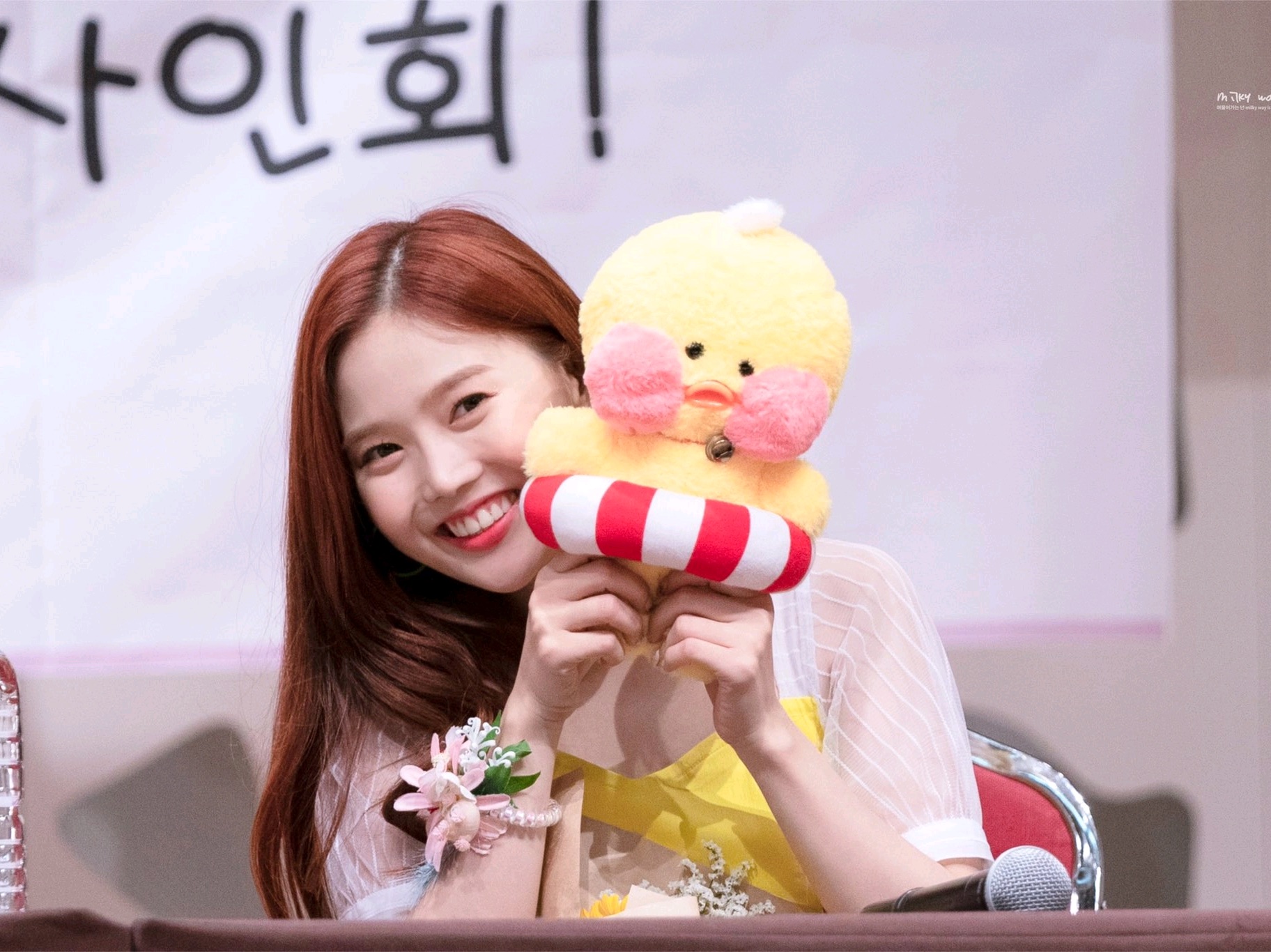 최효정 image