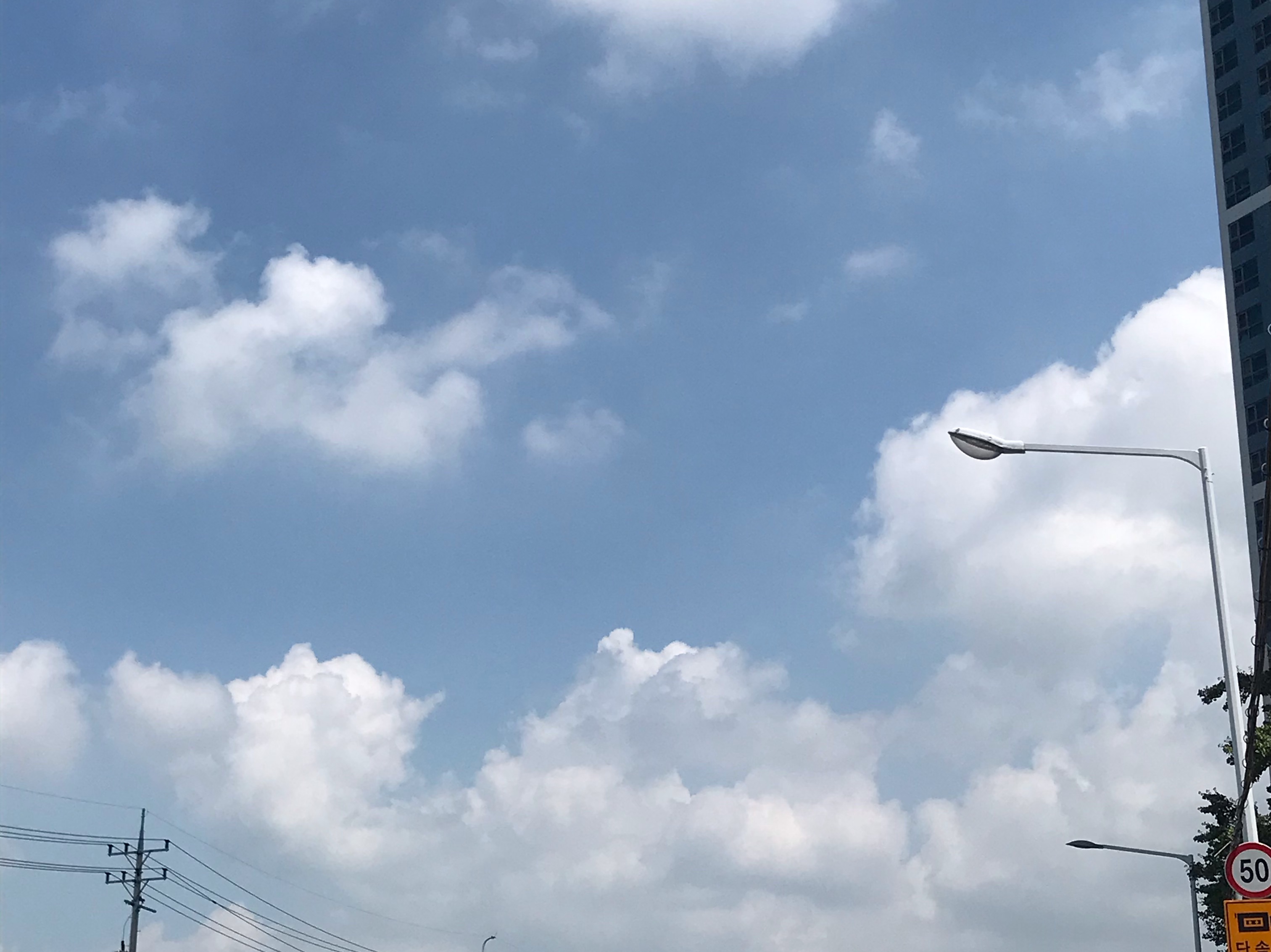 Domesticando a un ser mitad humano, mitad bestia thumbnail